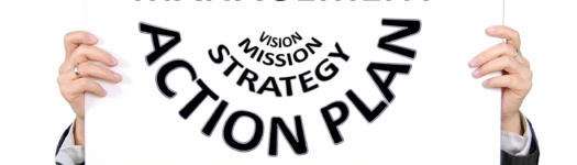 Project management from vision to mission, strategy and action plan